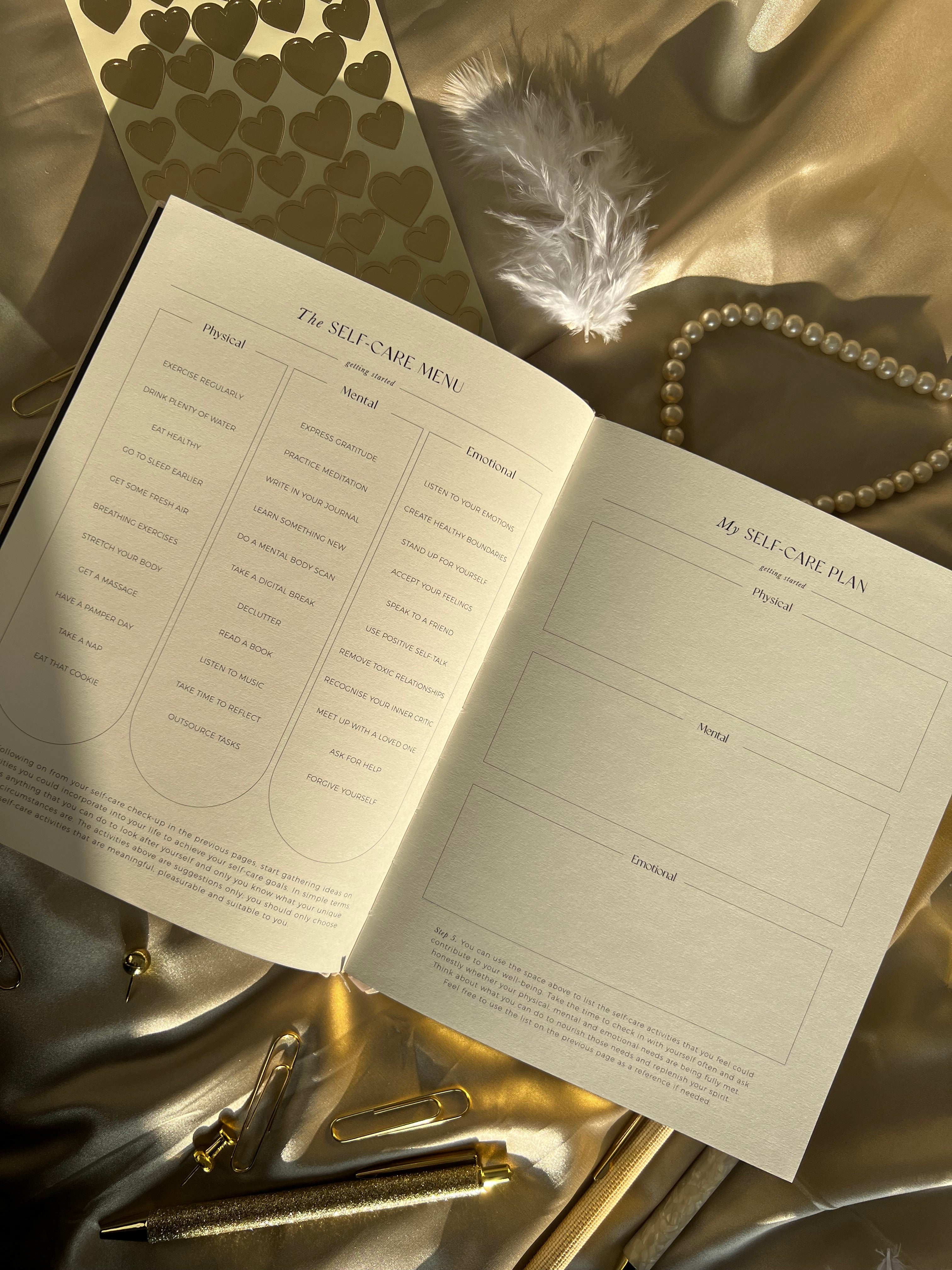Mon journal quotidien de soins personnels - Pebble