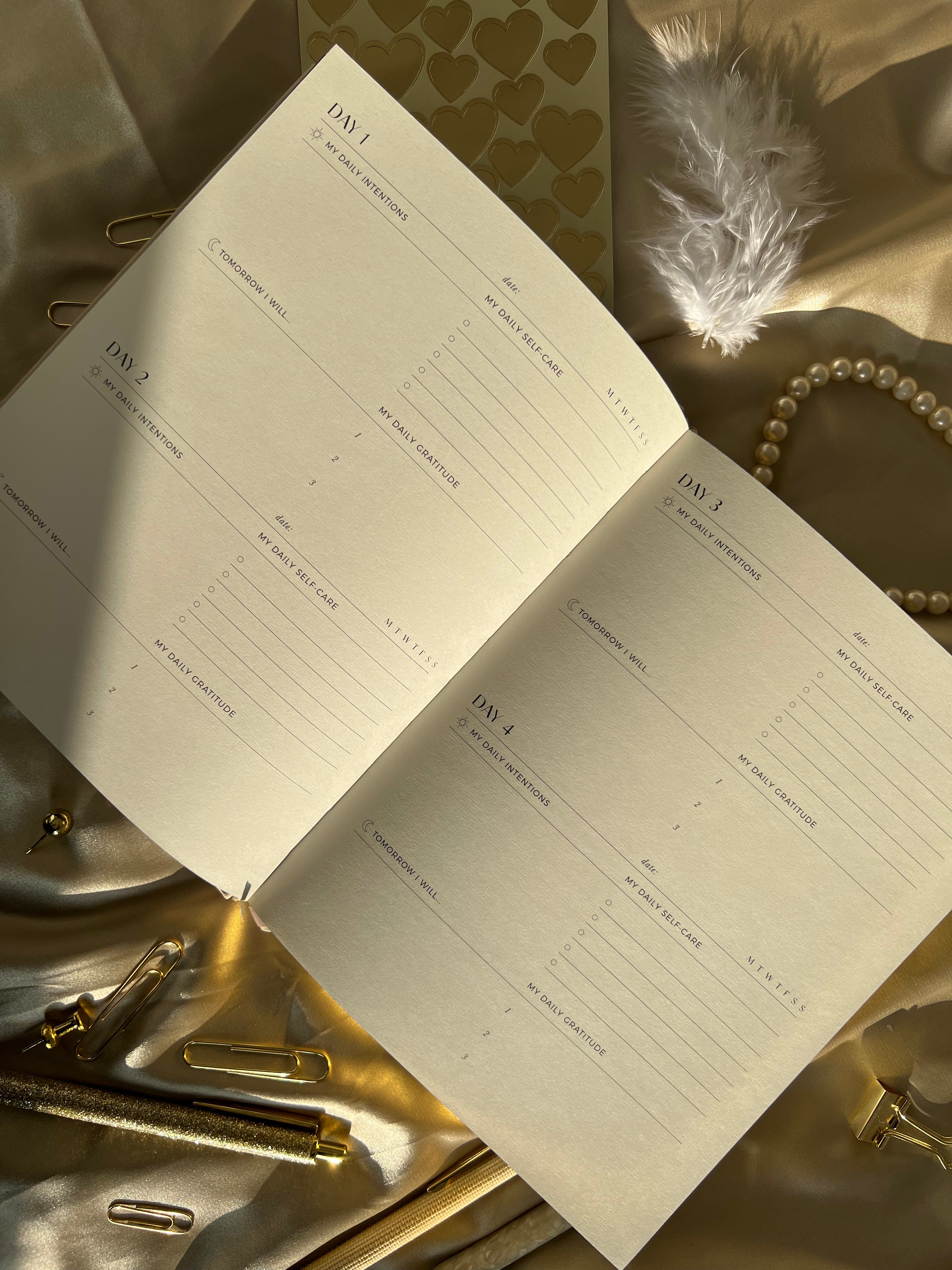 Mon journal quotidien de soins personnels - Pebble